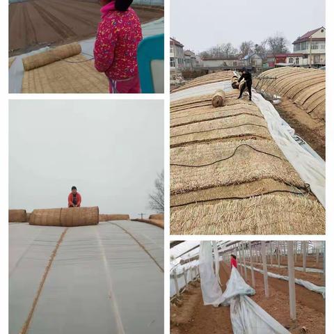 爱家，爱劳动，爱父母