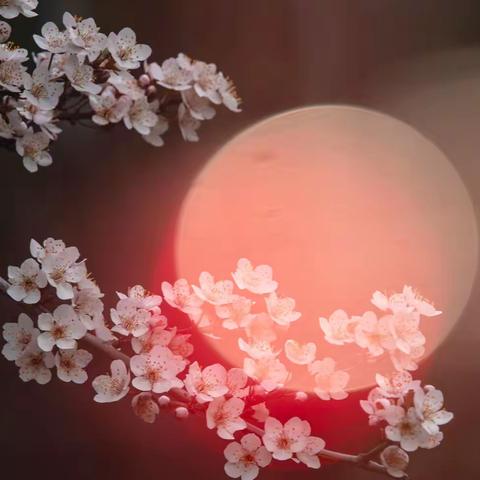 桃红草绿杏花香