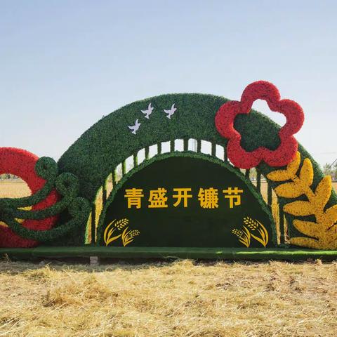 青盛农庄开镰节