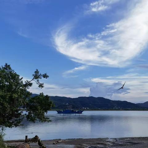 琅岐岛—“泰利”掠过，湛蓝缤纷