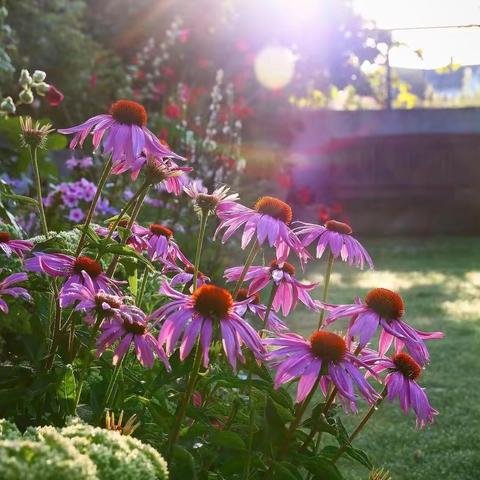 火“暑”银花，伴靓一夏