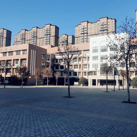 紫薇小学中国舞社团------舞动旋律，让孩子们幸福成长