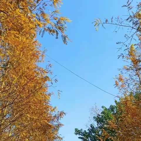 每个努力奋斗的人，都是榜样