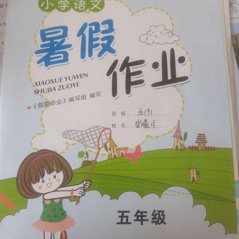 我的暑假（学习与生活）