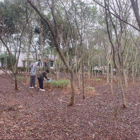 龙泉镇2021年非法种植毒品原植物排查行动