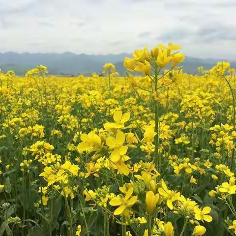 清明雨上 I盛情相邀，期待到来