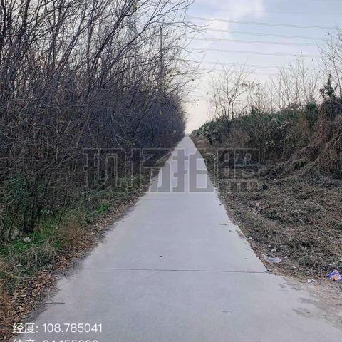 12月23日三角村专班工作日志