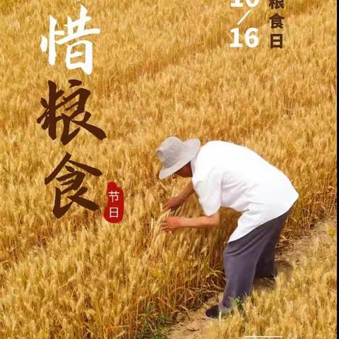 爱粮惜粮 人人有责