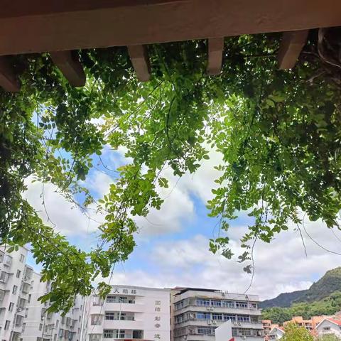 酸奶diy 分享甜蜜滋味——北城社区街道学校联合城北小学开展工会活动