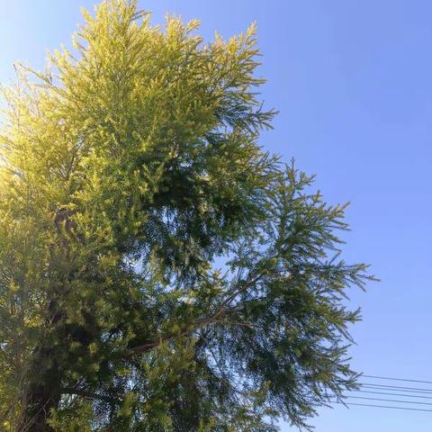 咔嚓，一起来秋游吧