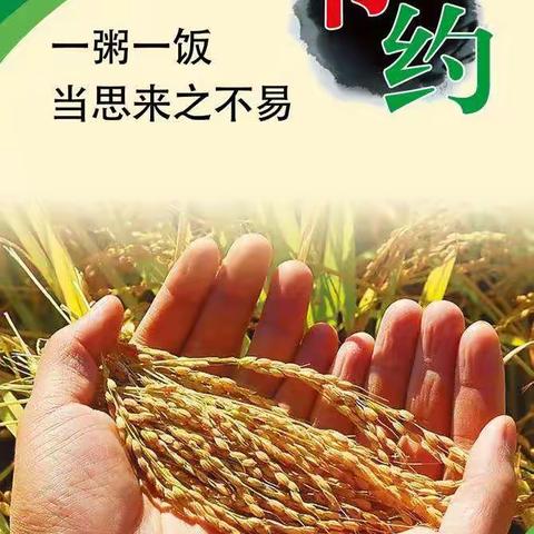 节约粮食，弘扬传统美德——薛家湾第一小学主题班队会