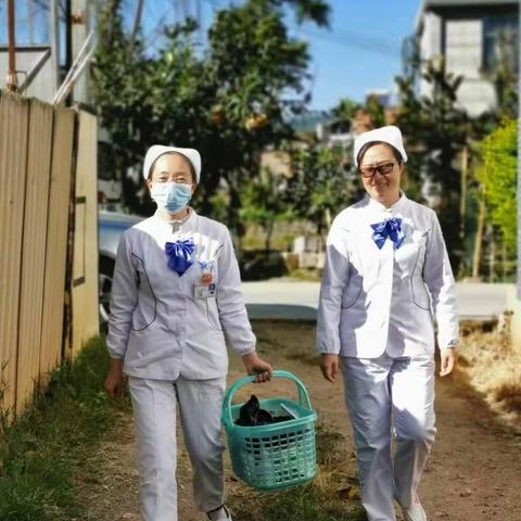 通海县人民医院产科11月家庭随访