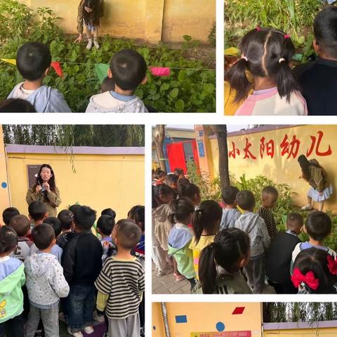 我和蔬菜做朋友————小太阳幼儿园中二班