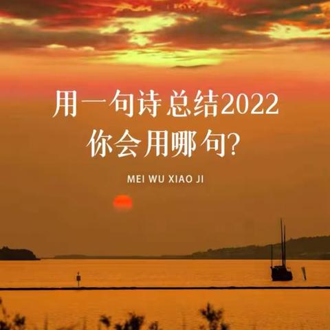 用诗来总结即将逝去的2022年