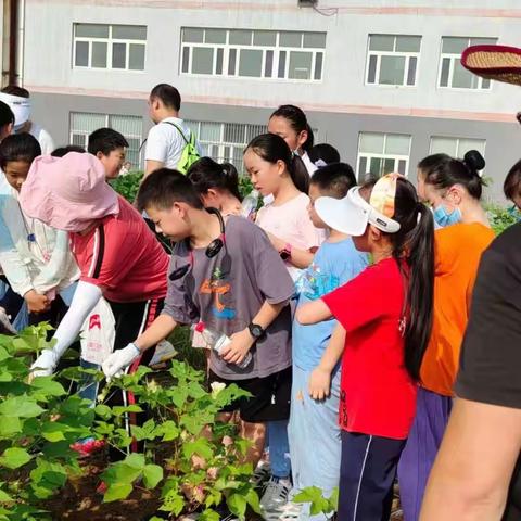 我劳动 我快乐 康成小学四六学部四（5）四（8）中队劳动实践活动