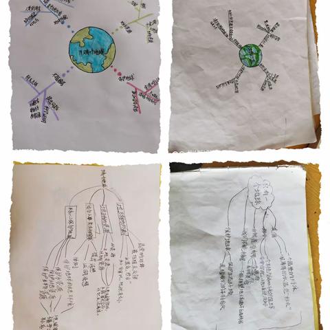 六一小组合作的结果展示，学习课文《只有一个地球》