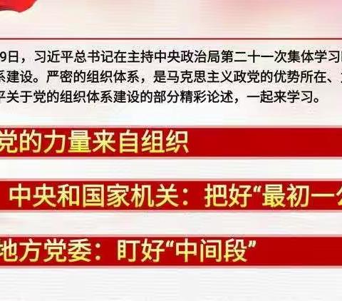 传达学习习近平妙论党的组织体系建设——海口市滨海第九小学第一支部数学小组学习纪实