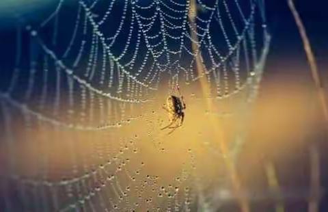 哪位高人琢磨出来的，太经典了，不信你看！