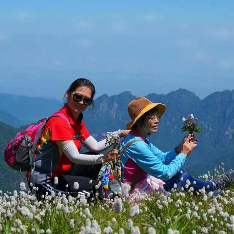 艰辛的行走——太白山国家森林公园