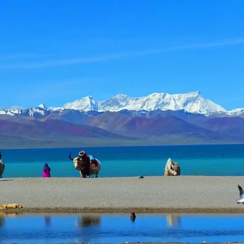 用脚步探索，用镜头记录(3)——西藏篇