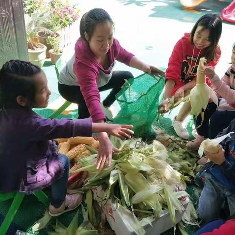 新蕾豆一班秋季烧烤亲子会