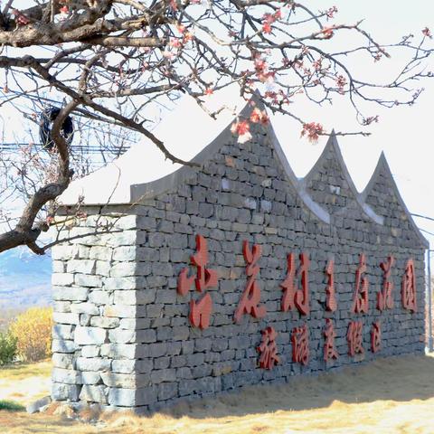 赏花好时节