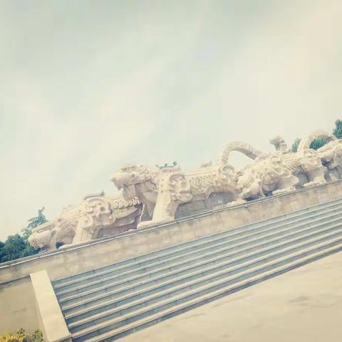 2019.5.3禹州植物园一游