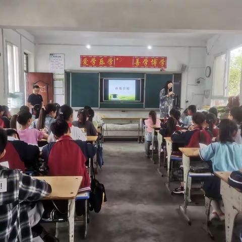 【春风十里，因为有你】2021.5.12许昌晨报走进花石镇花北小学