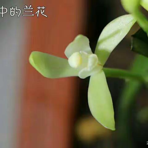 2017年美好的回忆