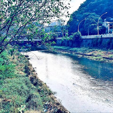 音西街道河长制办公室的美篇