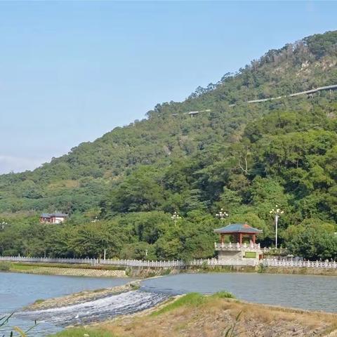音西街道河长制办公室的美篇