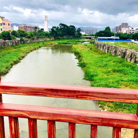 音西街道10月份“河长日”巡河活动---坚定河岸生态发展理念