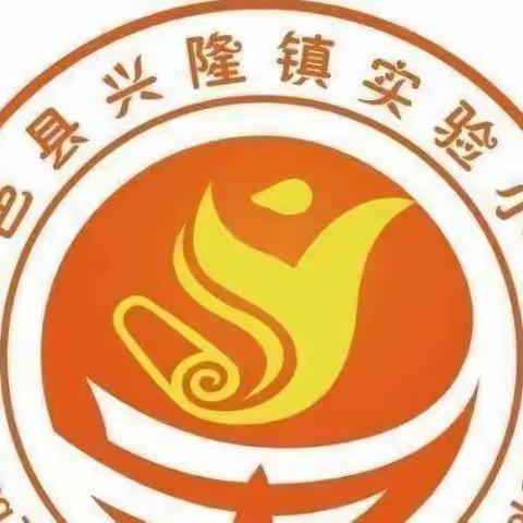 兴隆镇实验小学举行普法宣传暨“遇到校园暴力，该怎么办"主题校会