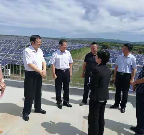 咸阳市副市长韩宏琪、赵月为深入卜家中心调研工作