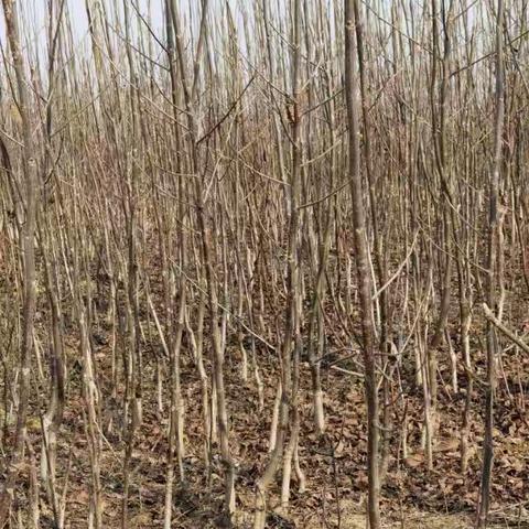 做最好的自己的美篇