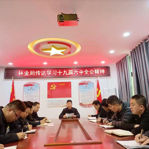 县林业局传达学习十九届六中全会精神