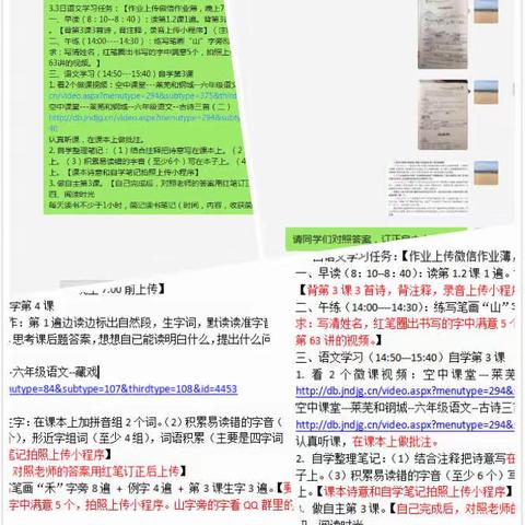 认真  忍耐  坚持------宅家学习不一样