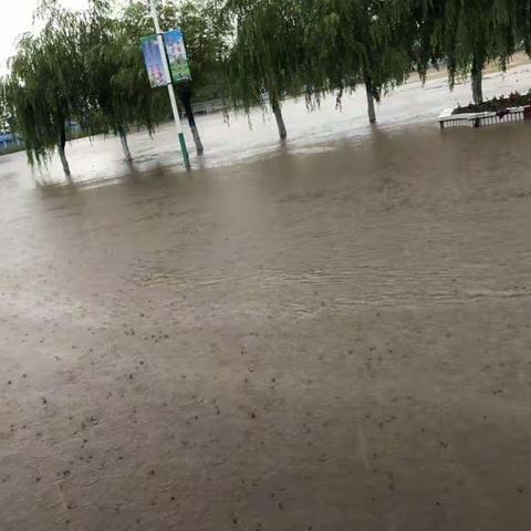 全力以赴做好暴雨过后校园安全