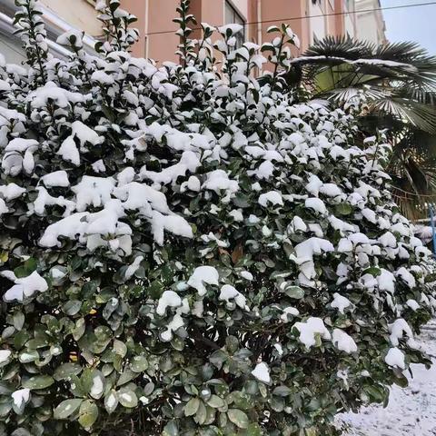 南北齐欢庆 瑞雪兆丰年 郾城实验中学开展庆小年活动