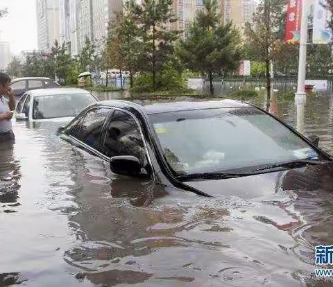 车辆涉水受损，车损险应否赔偿？