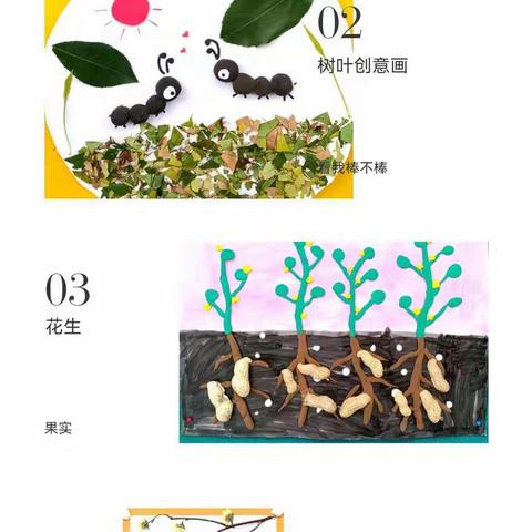 金秋十月   阅享收获——新兴小学校园文化栏评比活动