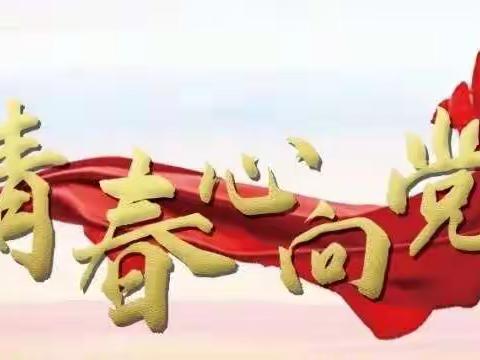 【青春向党 奋斗强国】勉县第三中学团校开展党史学习教育系列活动