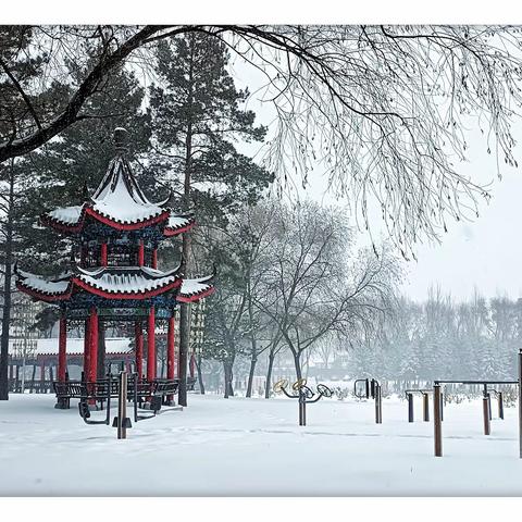 寒疆飞雪，——2023年冬季寒疆第一场大雪