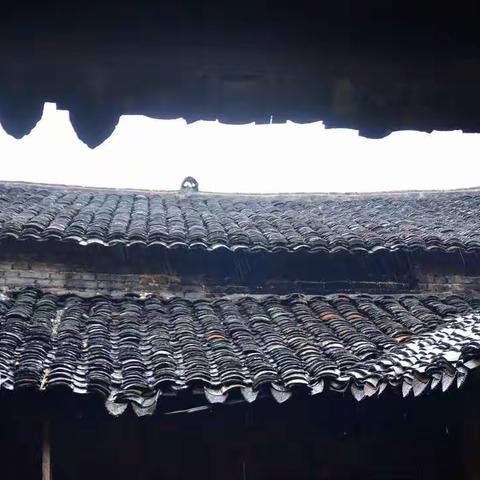 盼一场秋雨