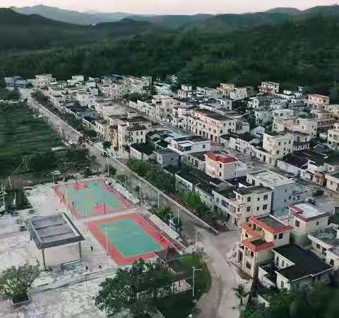 湖山村志