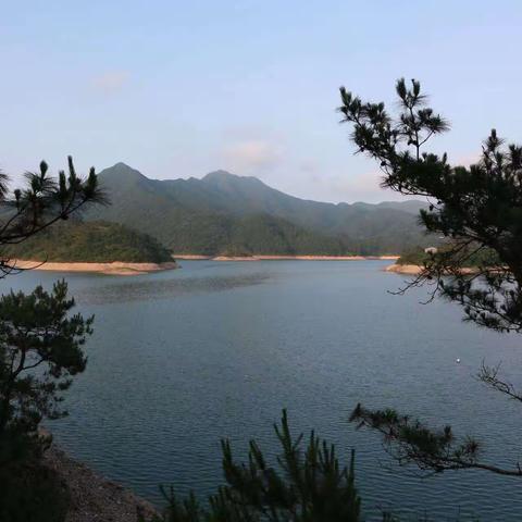 激情燃烧的年代