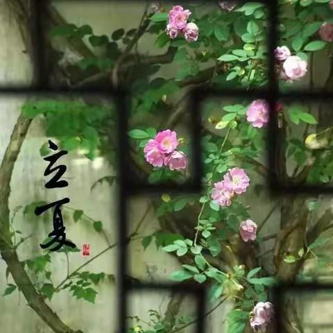 立夏诗词：一夜春风带署来