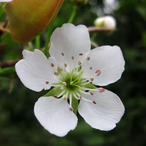 梦里听雨的诗