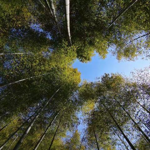宏村