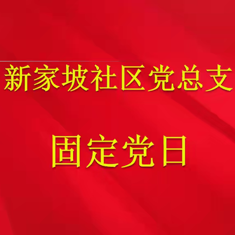 新家坡社区党总支部开展十一月份主题党日活动